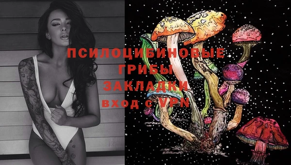 прущие крисы Костерёво